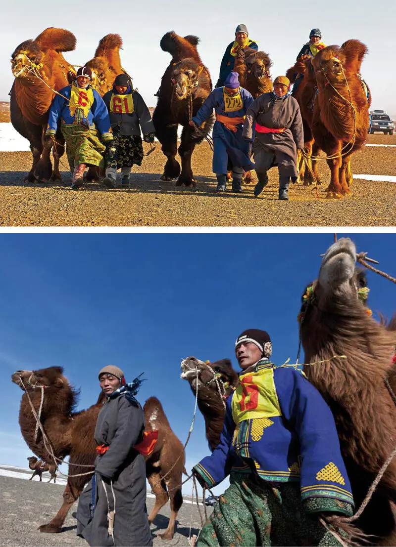 Statt eines Pferderennens wird in der Gobi in den Tagen um Tsagaan Sar herum - фото 60