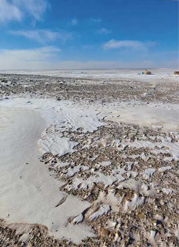 Statt eines Pferderennens wird in der Gobi in den Tagen um Tsa - фото 59