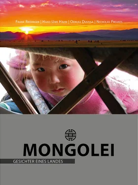 Frank Riedinger Mongolei – Gesichter eines Landes обложка книги