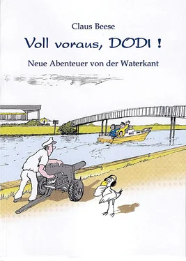 Claus Beese Voll voraus, DODI! обложка книги