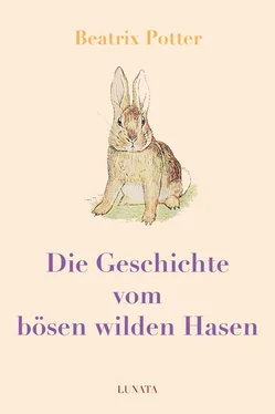 Beatrix Potter Die Geschichte vom bösen wilden Hasen обложка книги