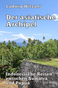 Ludwig Witzani Der asiatische Archipel обложка книги