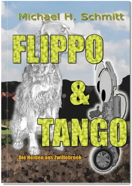 Michael H. Schmitt Flippo & Tango обложка книги
