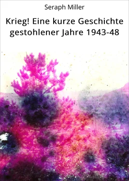 Seraph Miller Krieg! Eine kurze Geschichte gestohlener Jahre 1943-48 обложка книги