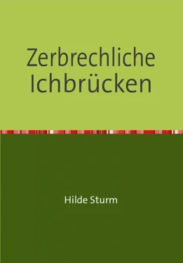 Hilde Sturm Zerbrechliche Ichbrücken обложка книги