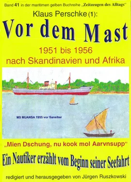 Klaus Perschke Vor dem Mast – ein Nautiker erzählt vom Beginn seiner Seefahrt 1951-56 обложка книги