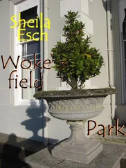 Sheila Esch - Wokefield Park