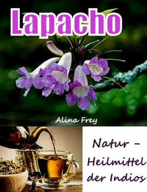 Alina Frey Lapacho обложка книги