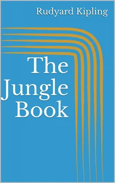 Rudyard Kipling The Jungle Book обложка книги