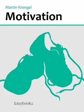 Martin Krengel Motivation обложка книги