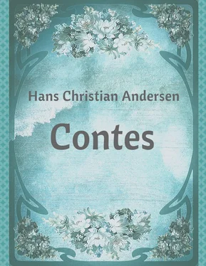 Hans Christian Contes обложка книги