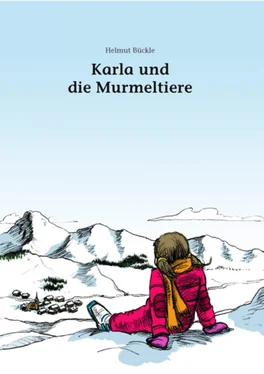 Helmut Bückle Karla und die Murmeltiere обложка книги