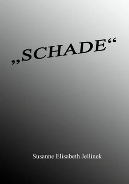 Susanne Elisabeth Jellinek SCHADE обложка книги