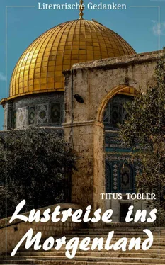 Titus Tobler Lustreise ins Morgenland (Titus Tobler) (Literarische Gedanken Edition) обложка книги