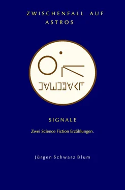 Jürgen Schwarz Blum Zwischenfall auf Astros обложка книги