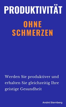 André Sternberg Produktivität ohne Schmerzen обложка книги