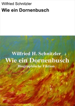 Wilfried Schnitzler Wie ein Dornenbusch обложка книги