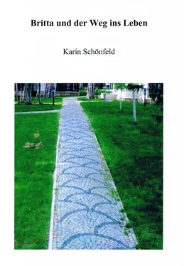 Karin Schönfeld Britta und der Weg ins Leben обложка книги