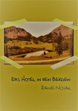 Danie Novak Das Hotel in den Bergen обложка книги