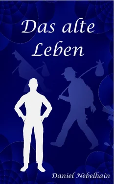 Daniel Nebelhain Das alte Leben обложка книги