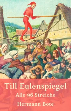 Hermann Bote Till Eulenspiegel обложка книги