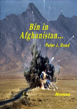 Peter J. Gnad Bin in Afghanistan обложка книги