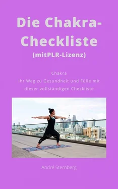 André Sternberg Die Chakra-Checkliste (mit PLR-Lizenz) обложка книги