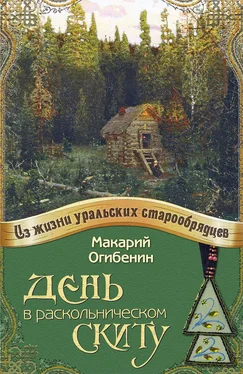 Макарий Огибенин День в раскольническом скиту обложка книги