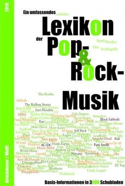 Неизвестный Автор Lexikon der Pop- und Rock-Musik - Basis-Informationen in 3000 Schubladen обложка книги