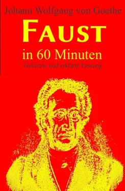 Johann Wolfgang von Goethe Faust in 60 Minuten обложка книги