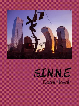 Danie Novak Sin.n.e обложка книги