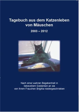 Angel Angel Tagebuch aus dem Katzenleben von Mäuschen 2003 - 2012 обложка книги