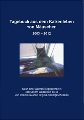 Angel Angel - Tagebuch aus dem Katzenleben von Mäuschen 2003 - 2012