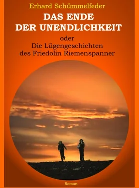 Erhard Schümmelfeder Das Ende der Unendlichkeit обложка книги