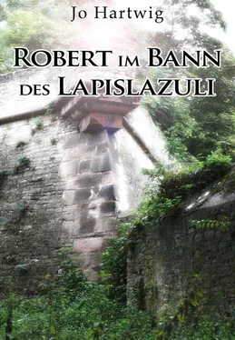 Jo Hartwig Robert im Bann des Lapislazuli обложка книги