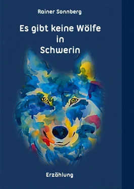 Rainer Sonnberg Es gibt keine Wölfe in Schwerin обложка книги