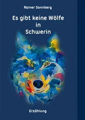 Rainer Sonnberg - Es gibt keine Wölfe in Schwerin
