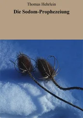 Thomas Hehrlein - Die Sodom-Prophezeiung
