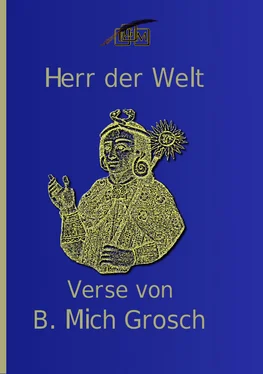 Bernd Michael Grosch Herr der Welt обложка книги