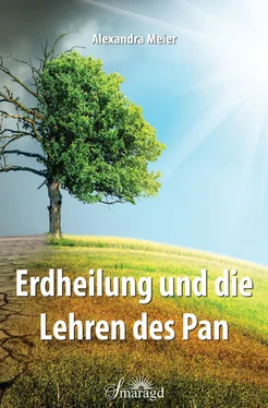 Alexandra Meier Erdheilung und die Lehren des Pan обложка книги