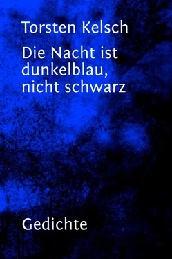 Torsten Kelsch Die Nacht ist dunkelblau, nicht schwarz обложка книги