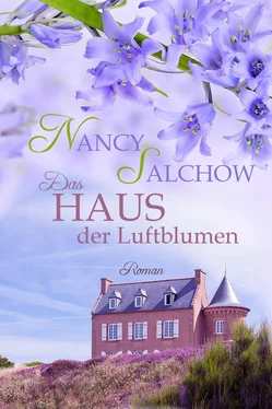 Nancy Salchow Das Haus der Luftblumen обложка книги