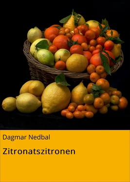 Dagmar Nedbal Zitronatszitronen обложка книги