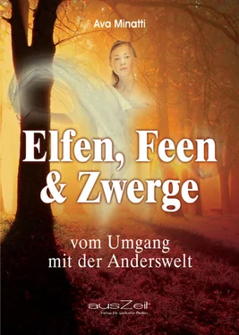 Ava Minatti Elfen, Feen & Zwerge обложка книги