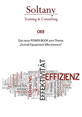 Alireza Soltany Noory OEE - Overall Equipment Effectiveness обложка книги