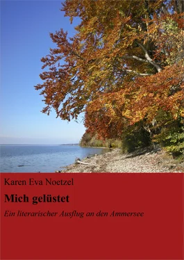 Karen Eva Noetzel Mich gelüstet's nach Idylle обложка книги