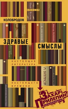 Алексей Колобродов Здравые смыслы. Настоящая литература настоящего времени обложка книги