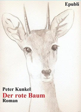 Peter Kunkel Der rote Baum обложка книги