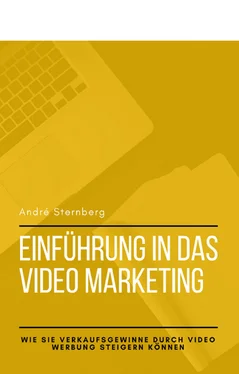 André Sternberg Einführung in das Video Marketing обложка книги