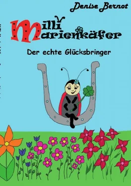 Denise Bernot Milli Marienkäfer - Der echte Glücksbringer обложка книги